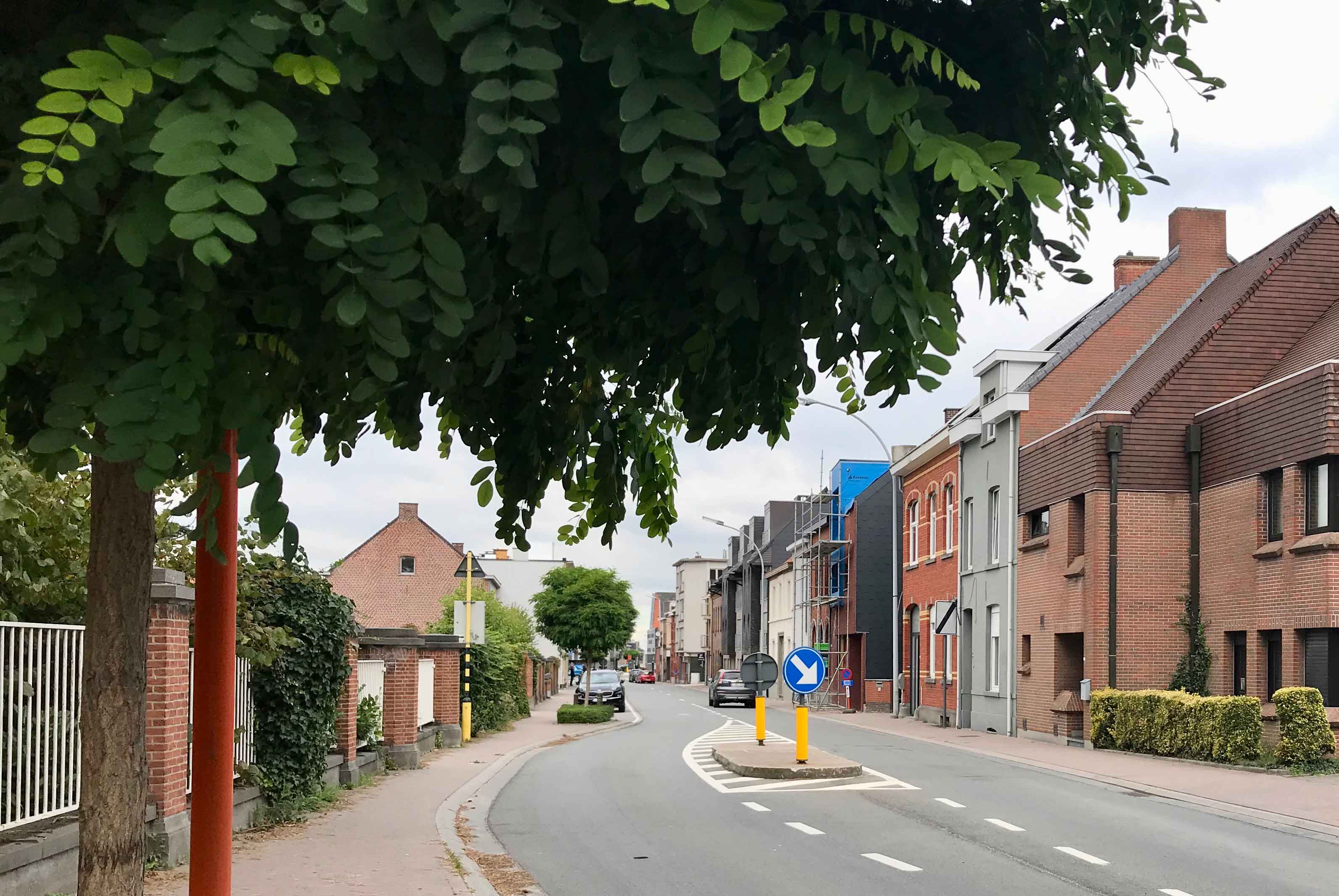 De Witten, Zottegem
